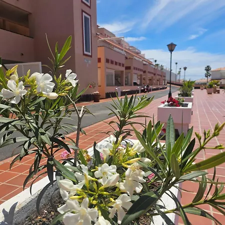 Apartmán The Heights 2 Bedroom Los Cristianos (Tenerife)