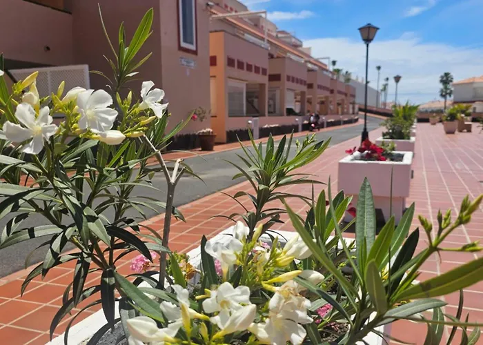 Apartmán The Heights 2 Bedroom Los Cristianos (Tenerife)